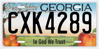 GA license plate CXK4289