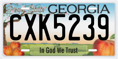 GA license plate CXK5239
