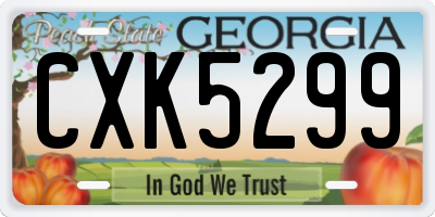 GA license plate CXK5299