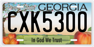 GA license plate CXK5300