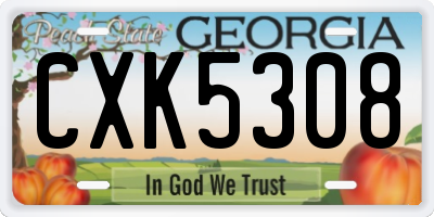 GA license plate CXK5308