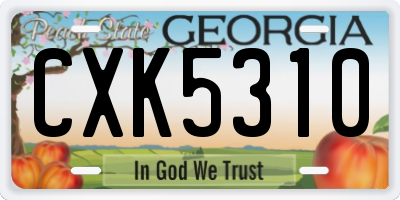 GA license plate CXK5310