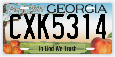 GA license plate CXK5314