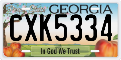 GA license plate CXK5334