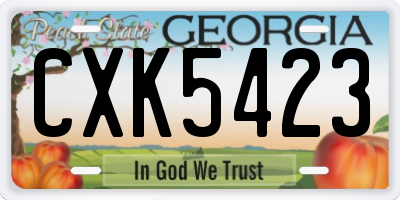 GA license plate CXK5423