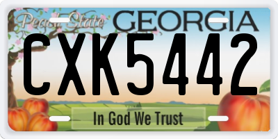 GA license plate CXK5442