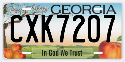 GA license plate CXK7207