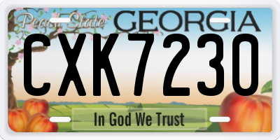 GA license plate CXK7230