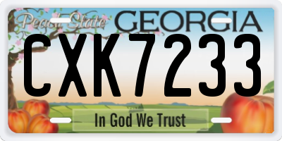 GA license plate CXK7233