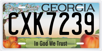 GA license plate CXK7239