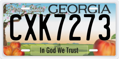 GA license plate CXK7273