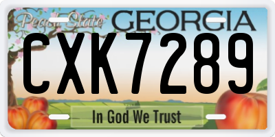 GA license plate CXK7289