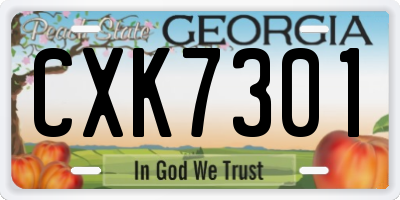 GA license plate CXK7301