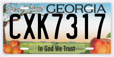 GA license plate CXK7317