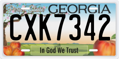 GA license plate CXK7342