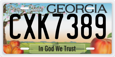 GA license plate CXK7389