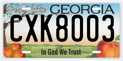 GA license plate CXK8003