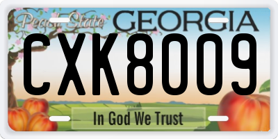 GA license plate CXK8009