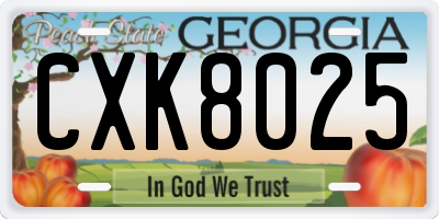 GA license plate CXK8025