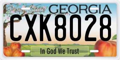 GA license plate CXK8028