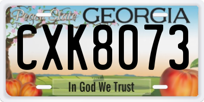GA license plate CXK8073