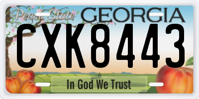 GA license plate CXK8443