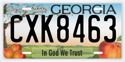 GA license plate CXK8463