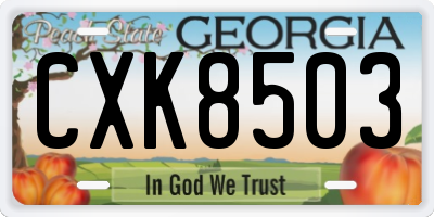 GA license plate CXK8503