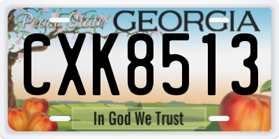 GA license plate CXK8513
