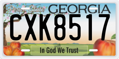 GA license plate CXK8517