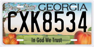 GA license plate CXK8534