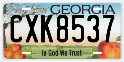 GA license plate CXK8537