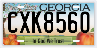 GA license plate CXK8560