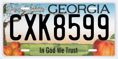 GA license plate CXK8599