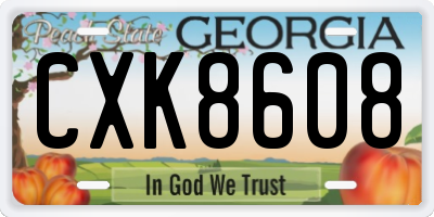 GA license plate CXK8608