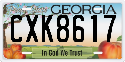 GA license plate CXK8617