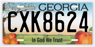 GA license plate CXK8624