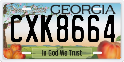 GA license plate CXK8664