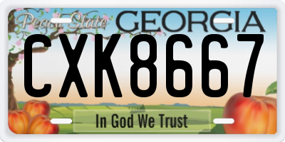 GA license plate CXK8667