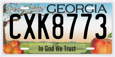 GA license plate CXK8773