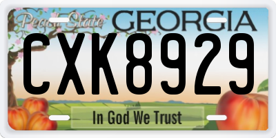 GA license plate CXK8929