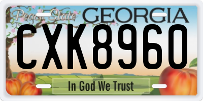 GA license plate CXK8960