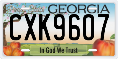 GA license plate CXK9607