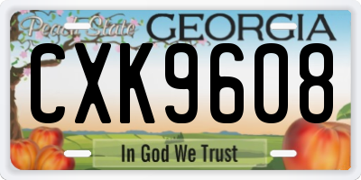 GA license plate CXK9608