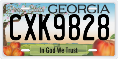 GA license plate CXK9828