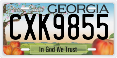 GA license plate CXK9855