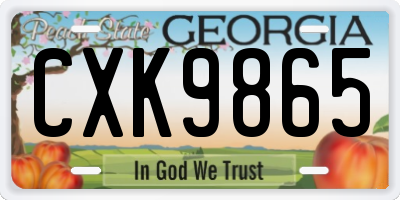 GA license plate CXK9865
