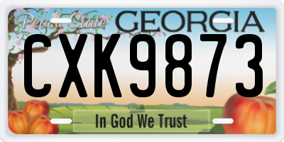 GA license plate CXK9873