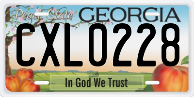 GA license plate CXL0228