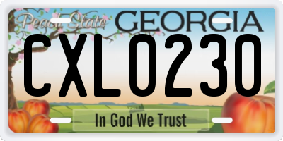 GA license plate CXL0230